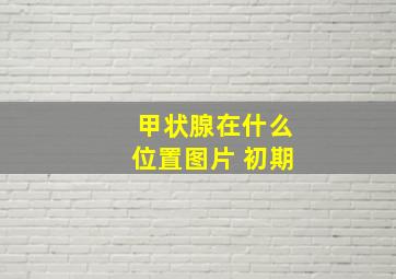 甲状腺在什么位置图片 初期